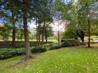Parkland, with old trees, plants, and grass, late autumn in, Manningham, Bradford, UK