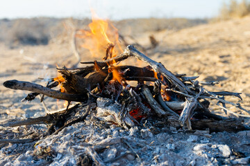Naklejka premium desert bonfire. Karakum desert. Turkmenistan