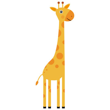 cute giraffe kids illustration drawing for books magazines learning cards africa animals