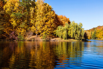 Colorful autumn park with a mirror image in the pond water