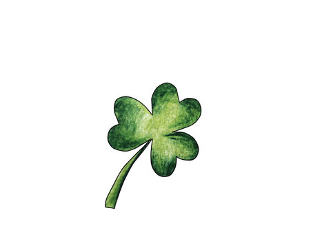 Green St. Patrick's Day clover on white background watercolor pencils drawing isolated