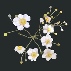 Obraz premium white flowers with a yellow center. bush of white flowers. watercolor illustration