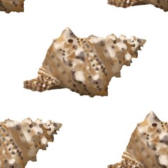 Pattern seashell on background. high quality watercolor illustration. marine design
