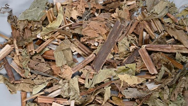 top pan view herb ZeLan or Lycopi Herba or Hirsute Bugleweed Herb