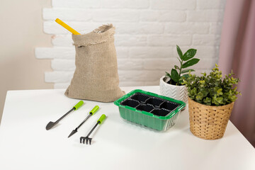 gardening, spring sowing of seeds. layout from a bag of earth, container for seeds, rake, shovel...