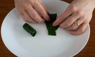 collard wrap with meat and rice, traditional Turkish cuisine.
