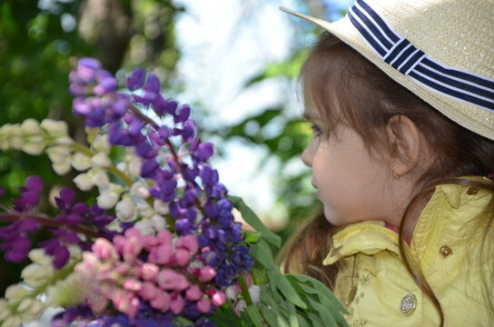 Girl with colored bouquets of lupines, sniffing flowers, brooding concept of spring or summer holidays, mother's day, easter Girl with bouquet of flowers in her hands Flowers, Spring, Romance, March 8