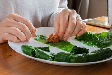 collard wrap with meat and rice, traditional Turkish cuisine.