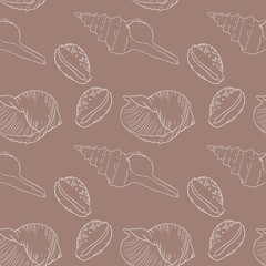 Pattern line seashell on background. high quality illustration. marine design