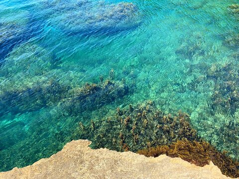 Sea turquoise water crystal clear waves background, tropical ocean coral reef, summer relax, vacation, relaxing holidays, wonderful seascape, freshness, swimming, zen, meditation, paradise.