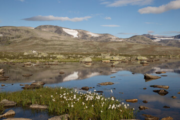 Scenic landscape on valdesflye in Norway