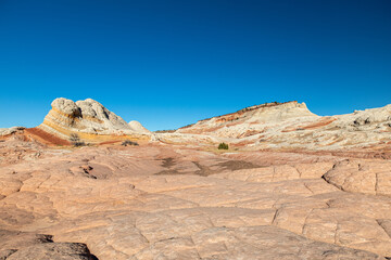 Fototapeta premium White Pocket