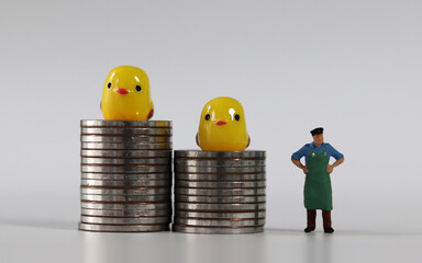 Piles of different heights of coins and ducks 
