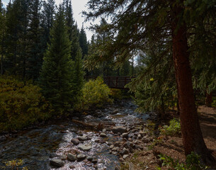 Creek Bridge