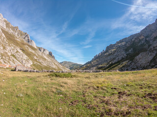 Old livestock barns or 