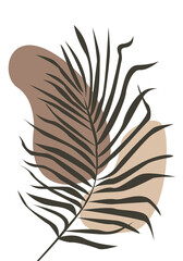 Graphical palm leave illustration. Line art, beige pattern background.