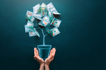 Hands holding money tree made by us dollar bills. Business, saving, growth, economic concept. Investors strategy, funding symbol. Copy space. - obrazy, fototapety, plakaty