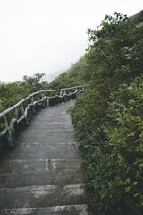 Fototapeta premium Path between trees on top of Wugong Mountain in Jiangxi, China