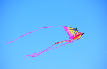 Dragon Kite