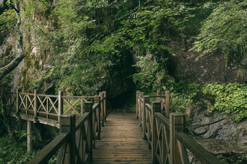 Wooden path among trees on top of Wugong Mountain in Jiangxi, China