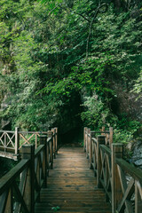 Wooden path among trees on top of Wugong Mountain in Jiangxi, China