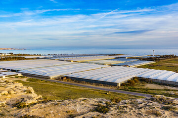 Many plastic greenhouses in Almeria, Spain.