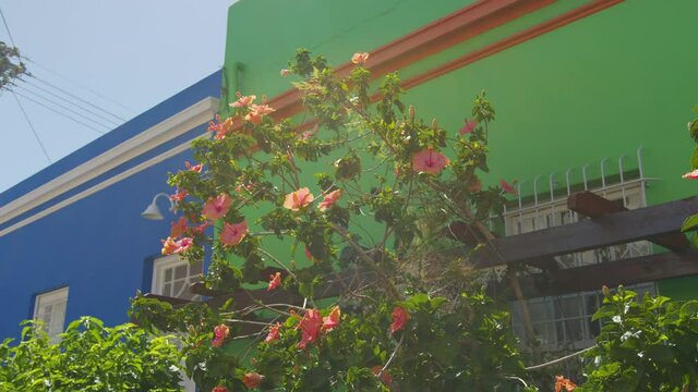 View of colorful houses in the muslim area Bo-Kaap in Cape town, South Africa.