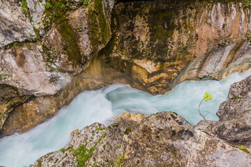Soca river gorge near Bovec village, Slovenia