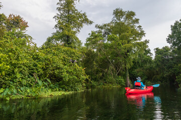 Naklejka premium Kayaker on the Weeki Wachee River
