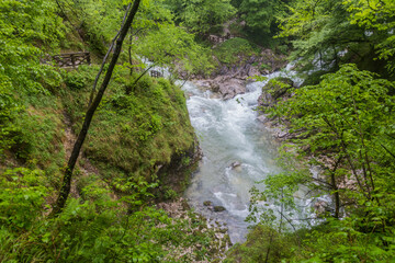 Fototapeta na wymiar View of Tolmin Gorges (Tolminska Korita), Slovenia