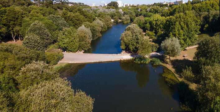 Parque da Cidade, Porto