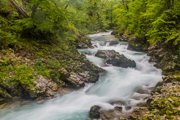 Obraz premium Vintgar gorge near Bled, Slovenia