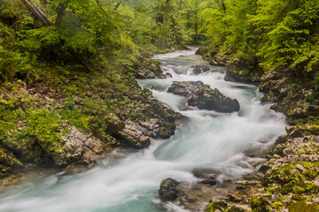 Obraz premium Vintgar gorge near Bled, Slovenia
