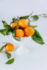 Florida sweet tangerines with green leaves in bowl.