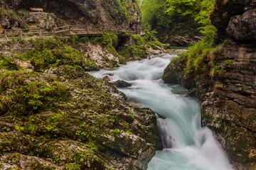 Fototapeta premium Vintgar gorge near Bled, Slovenia
