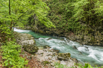 Fototapeta premium River Radovna in Vintgar gorge near Bled, Slovenia