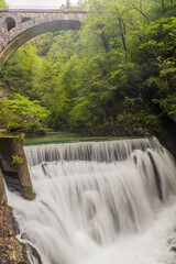 Weir and a railway bridge in Vintgar gorge near Bled, Slovenia