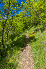 Hiking trail near Skocjan Caves, Slovenia