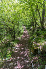 Obraz premium Hiking trail near Skocjan Caves, Slovenia