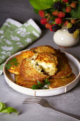 Potato Cakes. Vegetable fritters, latkes, hash browns. Vegetable pancakes