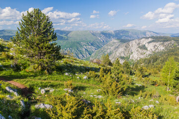 View of Tara canyon from Curevac mountain, Montenegro.