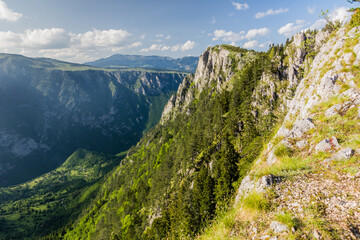 View of Tara canyon from Curevac mountain, Montenegro.