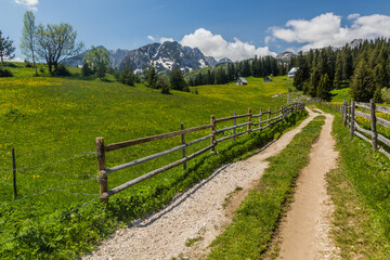 Fototapeta na wymiar Path in Bosaca village in Durmitor mountains, Montenegro