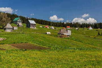 Obraz premium Bosaca village in Durmitor mountains, Montenegro