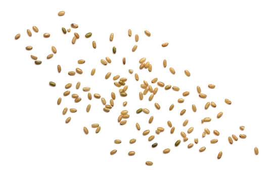 Brown Rice Scattered Isolated over White Top View