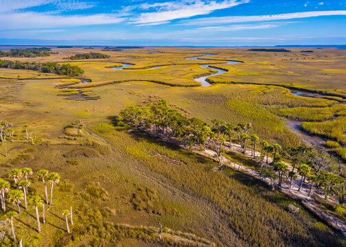 Lowcountry Marshland