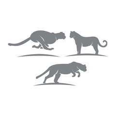 Cheetah Set template illustration Wild cat emblem design editable for your business