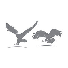 Eagle Hawk Set  Animal Symbol Creative luxury Modern mascot emblem template