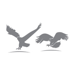 Fototapeta premium Eagle Hawk Set Animal Symbol Creative luxury Modern mascot emblem template