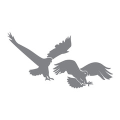 Eagle Hawk Set  Animal Symbol Creative luxury Modern mascot emblem template